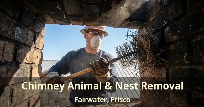 Chimney Animal & Nest Removal Fairwater, Frisco - TX Chimney Animal & Nest Removal Fairwater, Frisco - TX