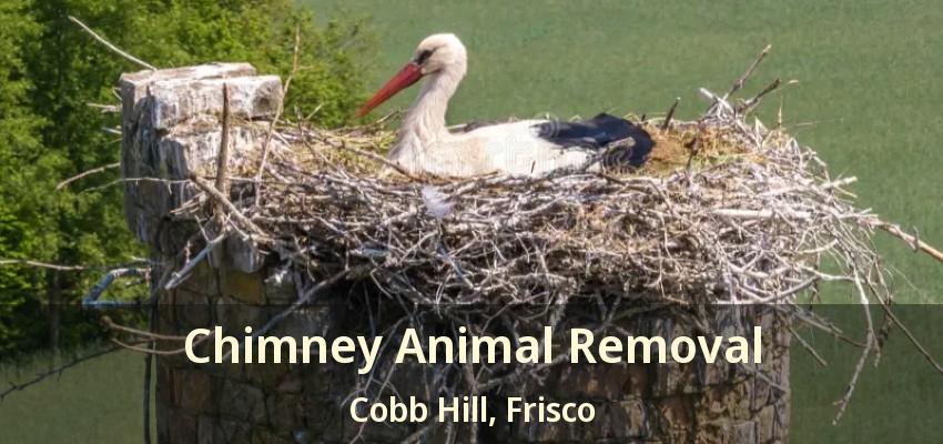 Chimney Animal Removal Cobb Hill, Frisco - TX