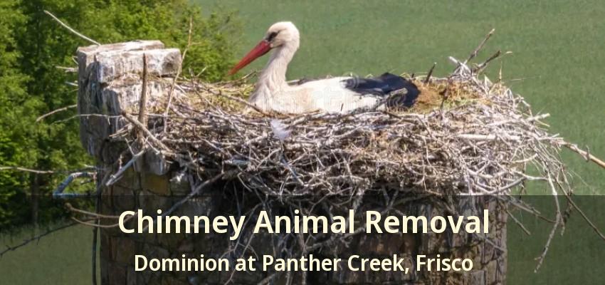 Chimney Animal Removal Dominion at Panther Creek, Frisco - TX
