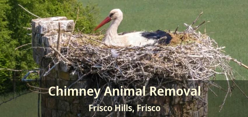 Chimney Animal Removal Frisco Hills, Frisco - TX