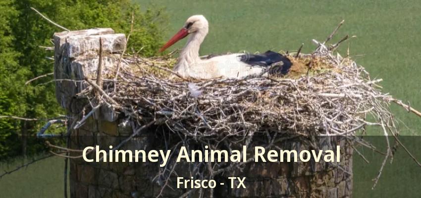 Chimney Animal Removal Frisco - TX