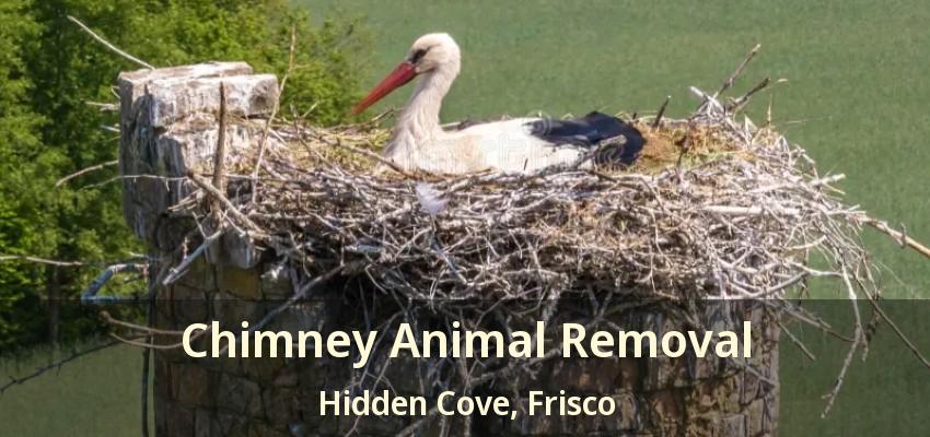 Chimney Animal Removal Hidden Cove, Frisco - TX