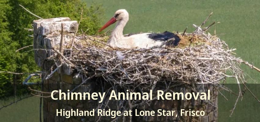 Chimney Animal Removal Highland Ridge at Lone Star, Frisco - TX