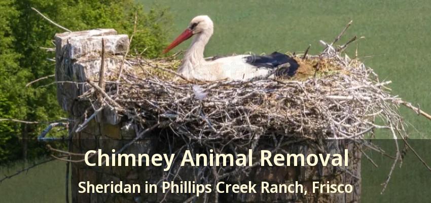 Chimney Animal Removal Sheridan in Phillips Creek Ranch, Frisco - TX