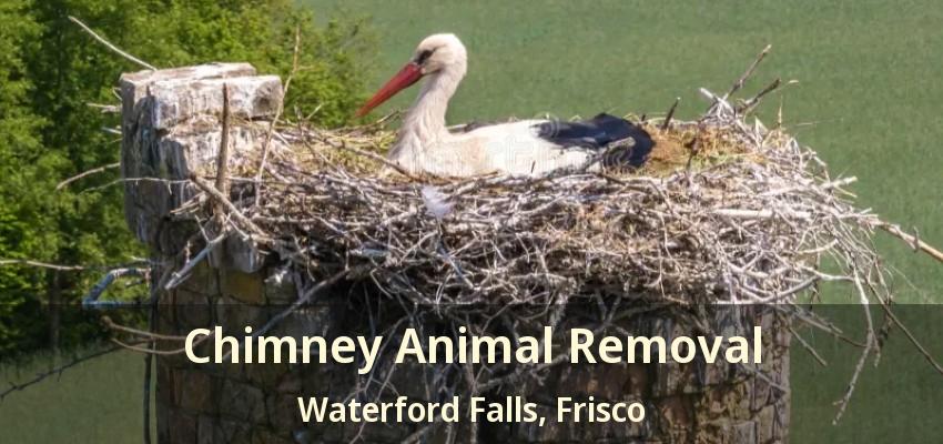 Chimney Animal Removal Waterford Falls, Frisco - TX