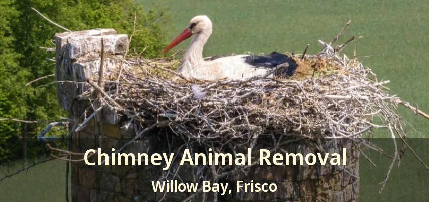 Chimney Animal Removal Willow Bay, Frisco - TX