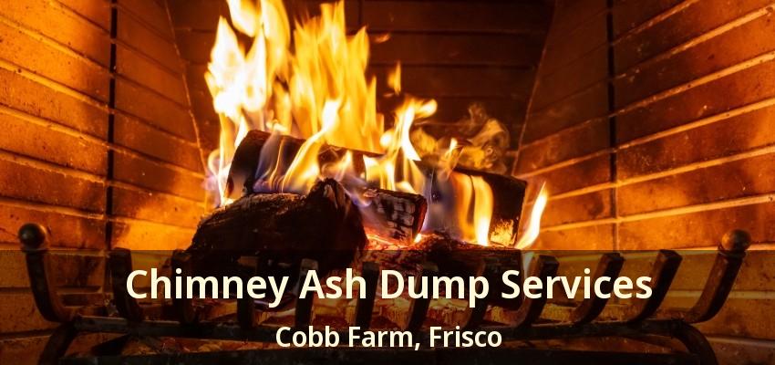 Chimney Ash Dump Services Cobb Farm, Frisco - TX