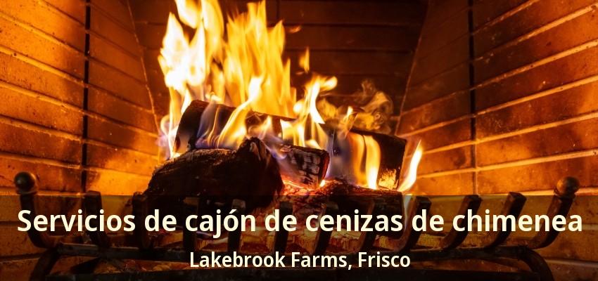 Servicios de cajón de cenizas de chimenea Lakebrook Farms, Frisco - TX