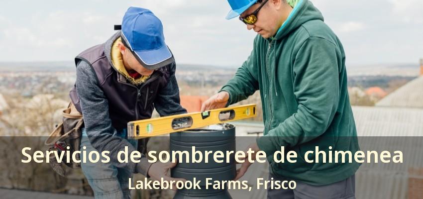 Servicios de sombrerete de chimenea Lakebrook Farms, Frisco - TX