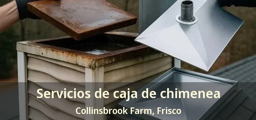 Servicios de caja de chimenea Collinsbrook Farm, Frisco - TX