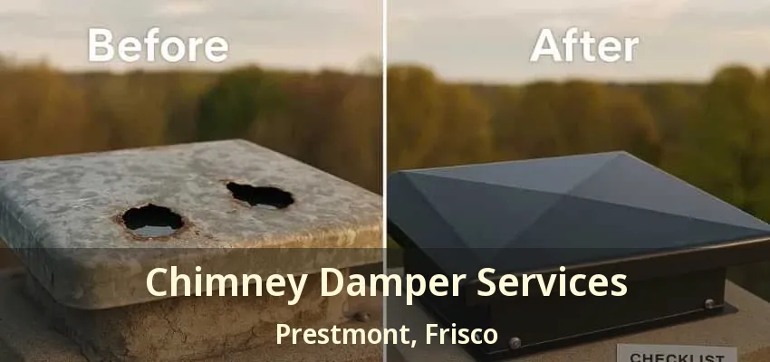 Chimney Damper Services Prestmont, Frisco - TX