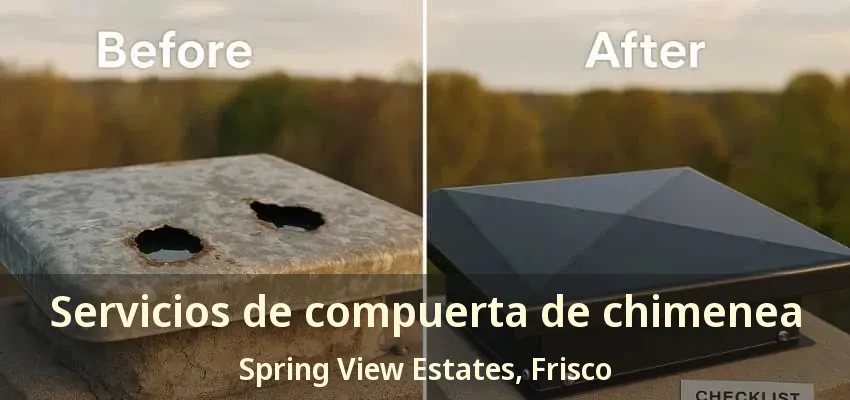 Servicios de compuerta de chimenea Spring View Estates, Frisco - TX