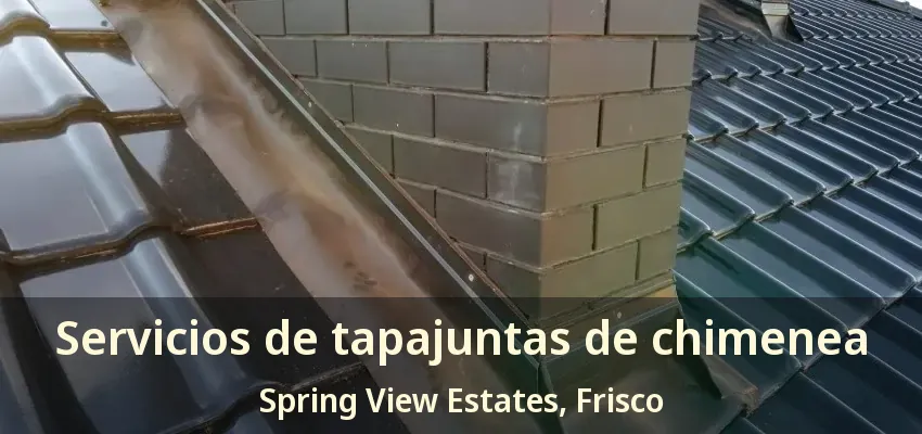 Servicios de tapajuntas de chimenea Spring View Estates, Frisco - TX