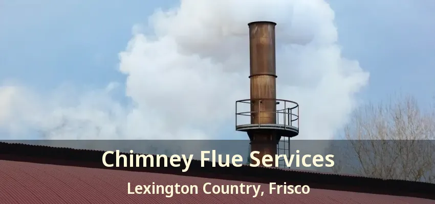 Chimney Flue Services Lexington Country, Frisco - TX
