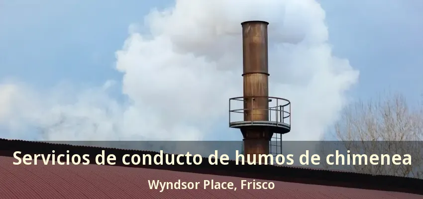 Servicios de conducto de humos de chimenea Wyndsor Place, Frisco - TX