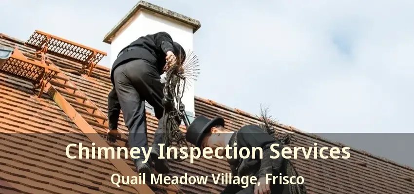 Chimney Inspection Services Quail Meadow Village, Frisco - TX