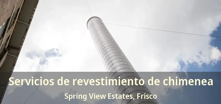 Servicios de revestimiento de chimenea Spring View Estates, Frisco - TX
