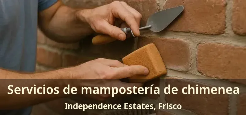 Servicios de mampostería de chimenea Independence Estates, Frisco - TX
