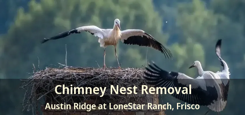 Chimney Nest Removal Austin Ridge at LoneStar Ranch, Frisco - TX