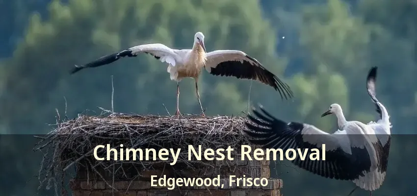 Chimney Nest Removal Edgewood, Frisco - TX