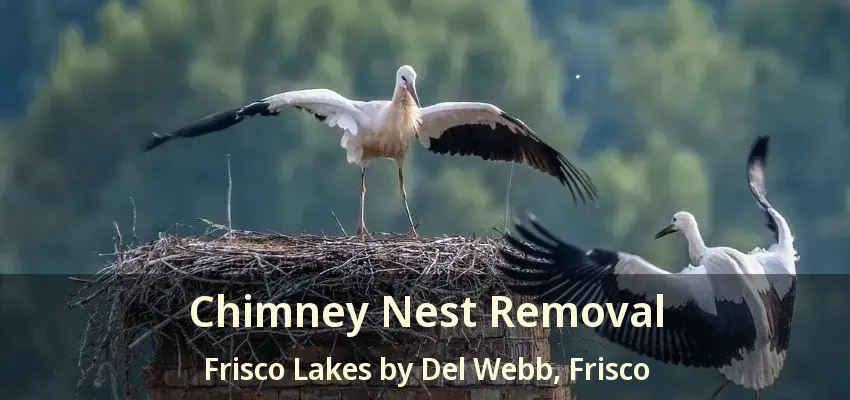 Chimney Nest Removal Frisco Lakes by Del Webb, Frisco - TX