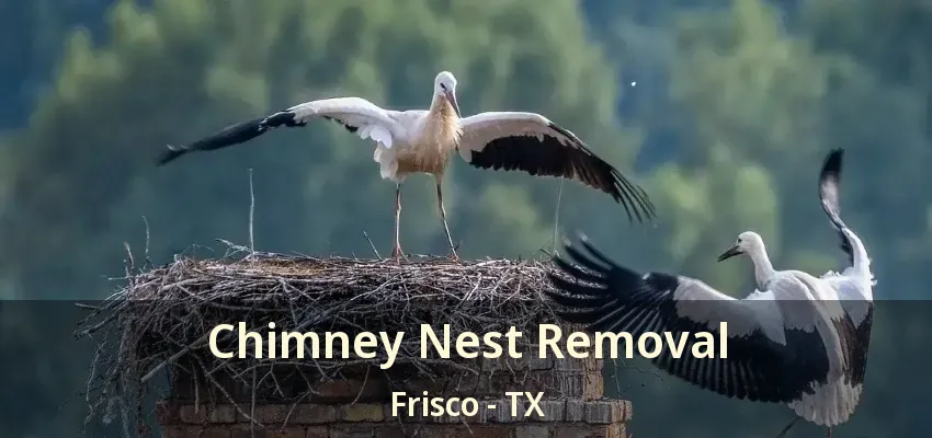Chimney Nest Removal Frisco - TX