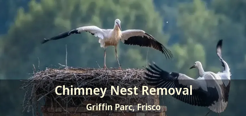 Chimney Nest Removal Griffin Parc, Frisco - TX