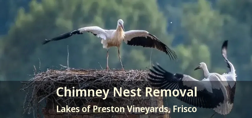 Chimney Nest Removal Lakes of Preston Vineyards, Frisco - TX