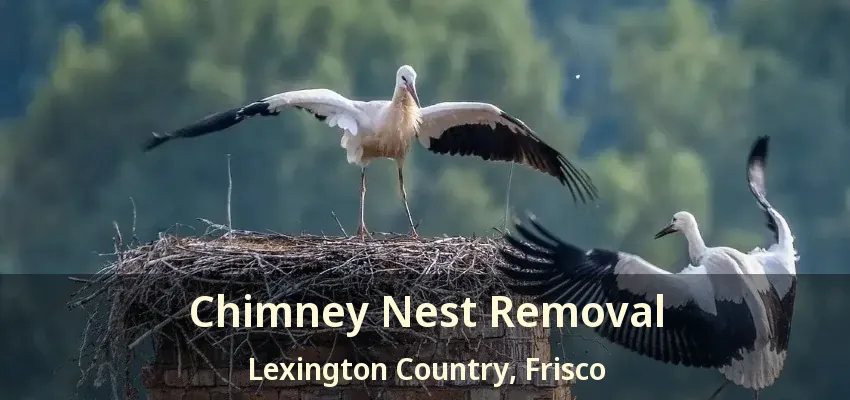 Chimney Nest Removal Lexington Country, Frisco - TX