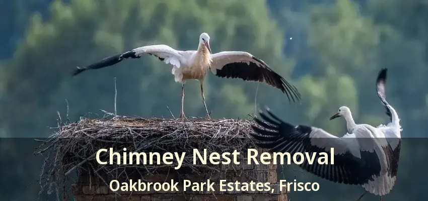 Chimney Nest Removal Oakbrook Park Estates, Frisco - TX