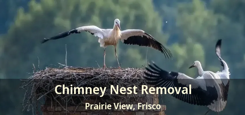 Chimney Nest Removal Prairie View, Frisco - TX