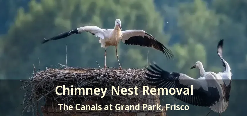 Chimney Nest Removal The Canals at Grand Park, Frisco - TX