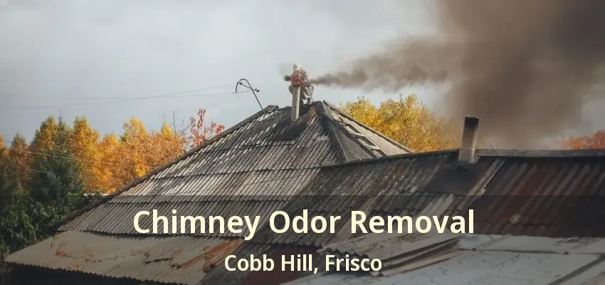 Chimney Odor Removal Cobb Hill, Frisco - TX