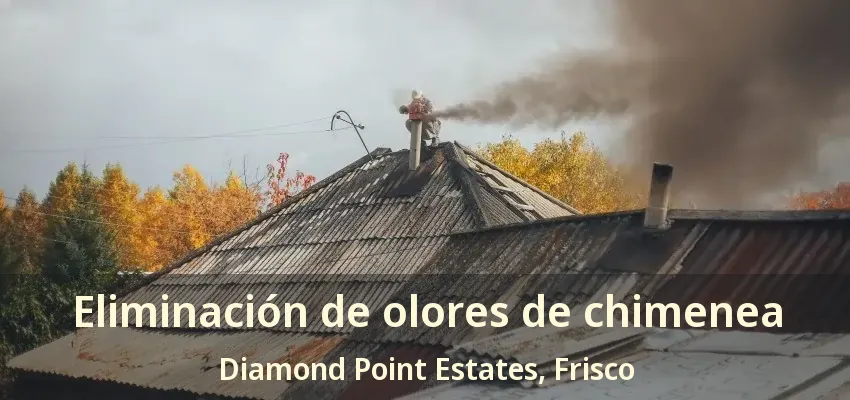 Eliminación de olores de chimenea Diamond Point Estates, Frisco - TX