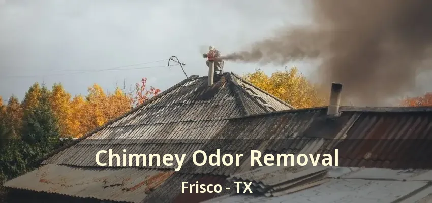 Chimney Odor Removal Frisco - TX