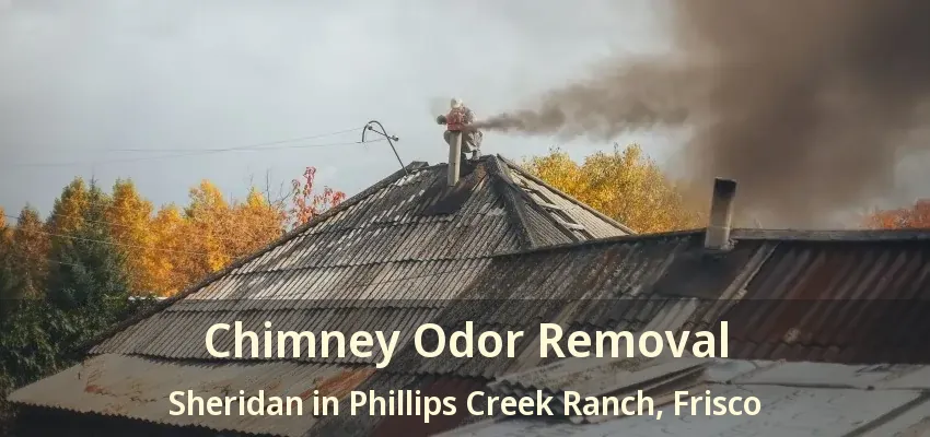 Chimney Odor Removal Sheridan in Phillips Creek Ranch, Frisco - TX