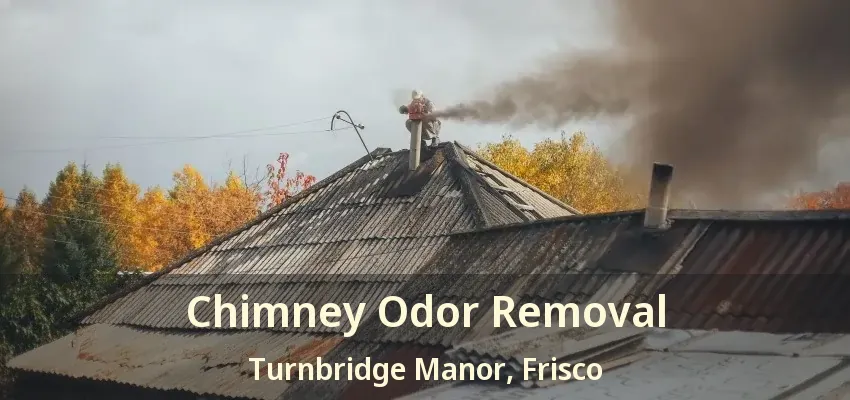Chimney Odor Removal Turnbridge Manor, Frisco - TX