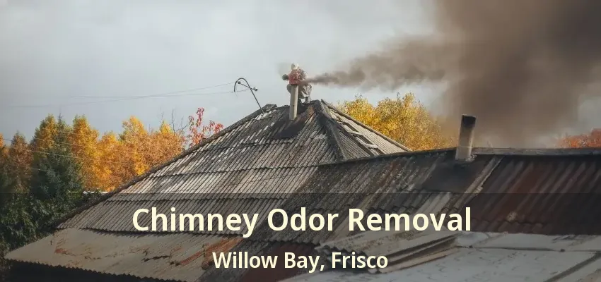 Chimney Odor Removal Willow Bay, Frisco - TX