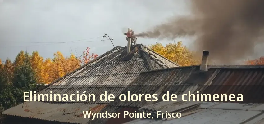 Eliminación de olores de chimenea Wyndsor Pointe, Frisco - TX Eliminación de olores de chimenea Wyndsor Pointe, Frisco - TX