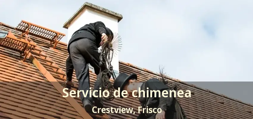 Servicio de chimenea Crestview, Frisco - TX