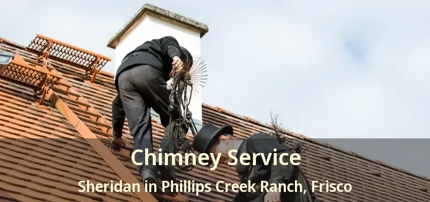 Chimney Service Sheridan in Phillips Creek Ranch, Frisco - TX