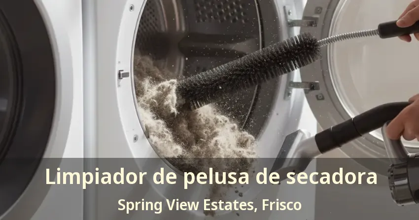 Limpiador de pelusa de secadora Spring View Estates, Frisco - TX