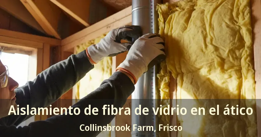 Aislamiento de fibra de vidrio en el ático Collinsbrook Farm, Frisco - TX
