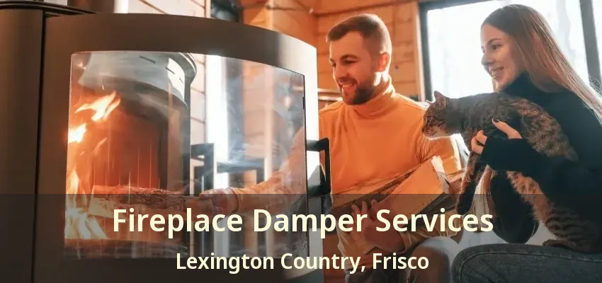 Fireplace Damper Services Lexington Country, Frisco - TX