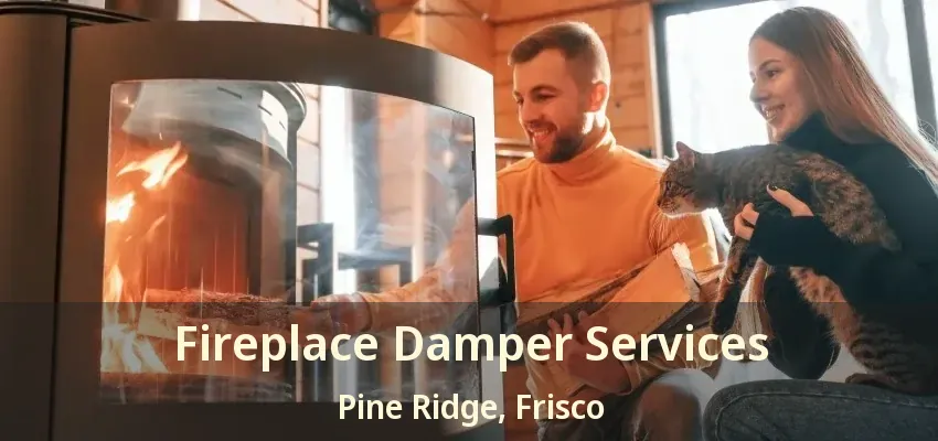 Fireplace Damper Services Pine Ridge, Frisco - TX