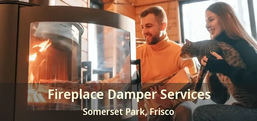 Fireplace Damper Services Somerset Park, Frisco - TX