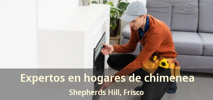 Expertos en hogares de chimenea Shepherds Hill, Frisco - TX