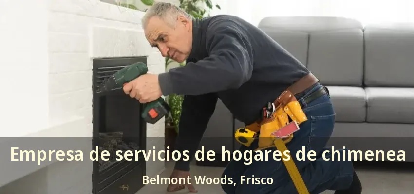 Empresa de servicios de hogares de chimenea Belmont Woods, Frisco - TX