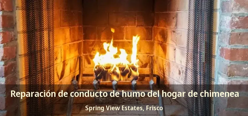 Reparación de conducto de humo del hogar de chimenea Spring View Estates, Frisco - TX