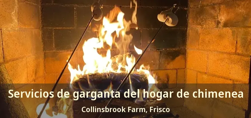Servicios de garganta del hogar de chimenea Collinsbrook Farm, Frisco - TX